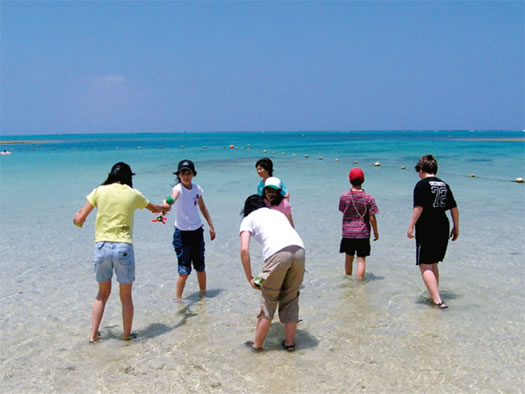 潮の引いた時間帯にサンゴ礁の台地を歩く