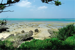 潮の引いたフィールドの様子