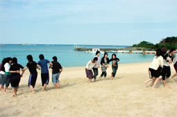 砂浜アクティビティ、グループで協力できるかどうかが試されるゲーム