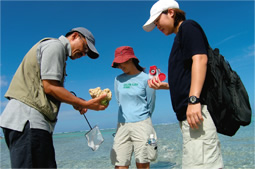 リーフトレイルの様子