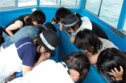 グラスボートでの自然観察
