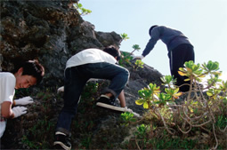 両手両足を使ってよじ登るコースも選択可