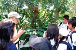 動植物や環境問題についての解説