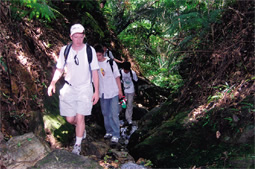 途中、沢づたいのコースも