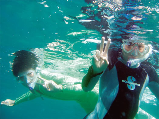 スノーケリングで快適に水中自然観察を楽しむ