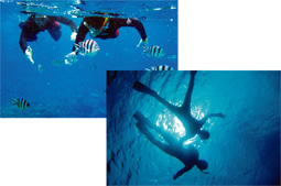 スキル習得後、インストラクターとともに自然観察