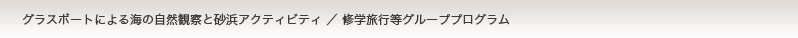 グラスボートによる海の自然観察と砂浜アクティビティ／修学旅行等グループプログラム