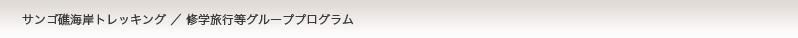 サンゴ礁海岸トレッキング／修学旅行等グループプログラム