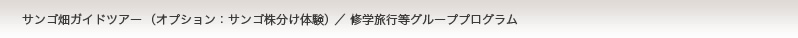 サンゴ畑ガイドツアー（オプション：サンゴ株分け体験）／修学旅行等グループプログラム