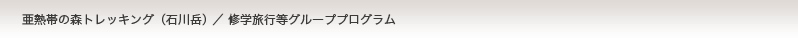 亜熱帯の森トレッキング（石川岳）／修学旅行等グループプログラム