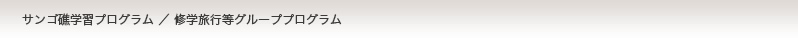 サンゴ礁学習プログラム／修学旅行等グループプログラム