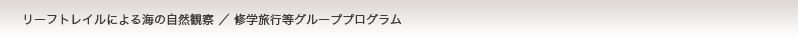 リーフトレイルによる海の自然観察／修学旅行等グループプログラム