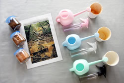 森で海を考える