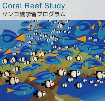 Coral Reef Study サンゴ礁学習プログラム