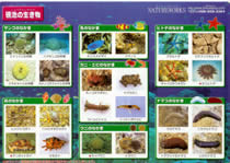 見て・触って・感じたことを自分の経験に